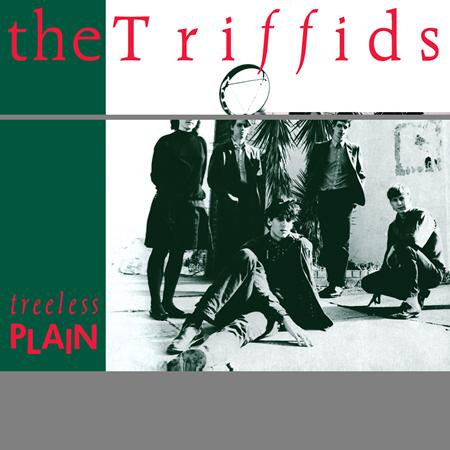 The Triffids - Madeline Lyrics - Zortam Music