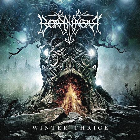Borknagar - Cold Runs the River Lyrics - Zortam Music