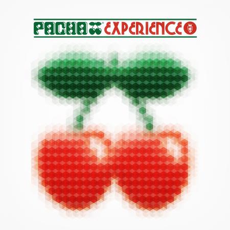 Various Artists - Pacha Experience - Zortam Music Various Artists - Pacha Experience - Zortam Music