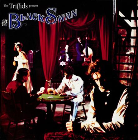 The Triffids - Good Fortune Rose Lyrics - Zortam Music