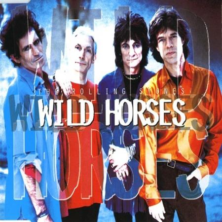 Rolling Stones - Wild Horses Cd Maxi - Zortam Music
