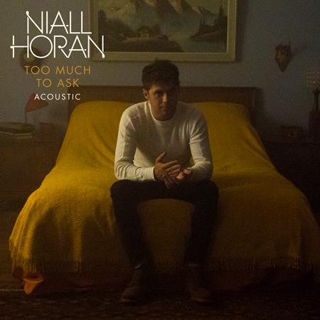 Niall Horan - Too Much To Ask - Acoustic Lyrics - Zortam Music
