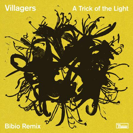Villagers - A Trick of the Light Lyrics - Zortam Music