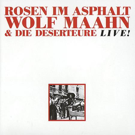 Wolf Maahn - Rosen Im Asphalt LIVE - Zortam Music
