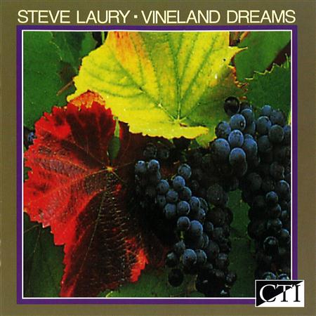 Steve Laury - Vineland Dreams - Zortam Music