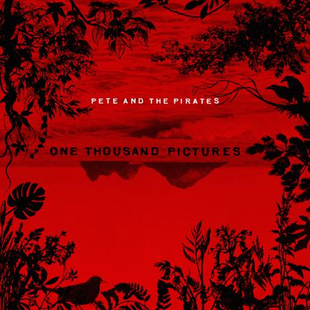 Pete And The Pirates - One Thousand Pictures - Zortam Music
