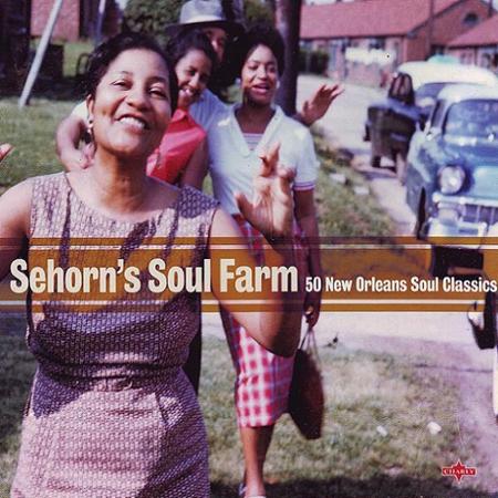 The Rolling Stones - Sehorn The Rolling Stones - Sehorn