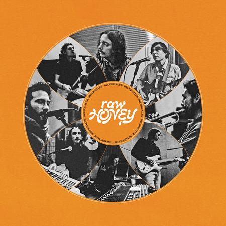 Drugdealer - Raw Honey - Zortam Music