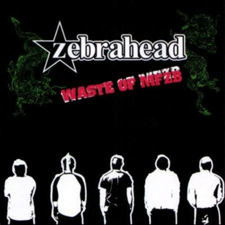Zebrahead - Are You For Real? Lyrics - Zortam Music