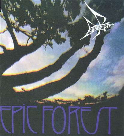 Rare Bird - House In The City Lyrics - Zortam Music