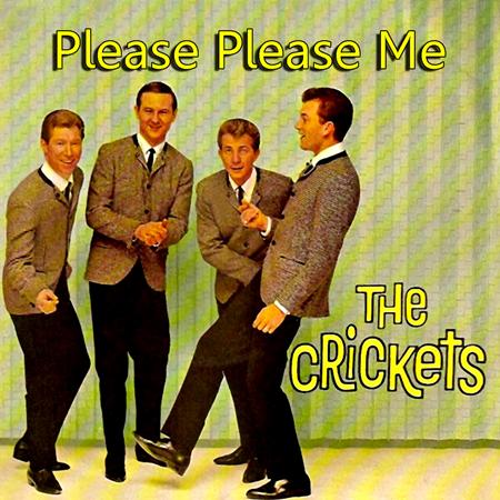 The Crickets - Dreamboats And Petticoats – Summer Holidays - Zortam Music