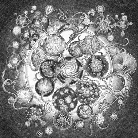 Long Distance Calling - Into the Black Wide Open Lyrics - Zortam Music