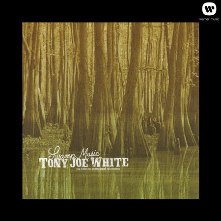 Tony Joe White - What Does It Take Lyrics - Zortam Music