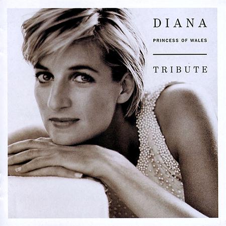 Rod Stewart - Diana: Princess Of Wales Tribu - Zortam Music Rod Stewart - Diana: Princess Of Wales Tribu - Zortam Music