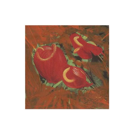 KoKo - Banoffee Pies Digi 05 - Zortam Music