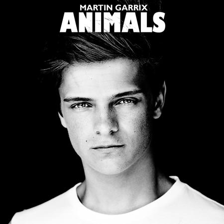 Martin Garrix - Animals - Radio Edit Lyrics - Zortam Music