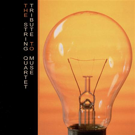 Vitamin String Quartet - Traccia 11 Lyrics - Zortam Music