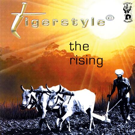 Punjabi MC - Billy Jean Remix Lyrics - Zortam Music