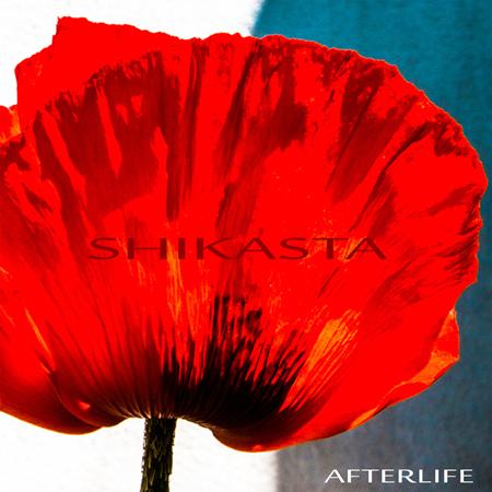 Afterlife - Shikasta - Zortam Music