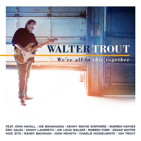 Walter Trout - The Other Side Of The Pillow Lyrics - Zortam Music