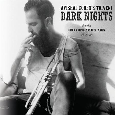 Avishai Cohen - Dark Nights - Zortam Music