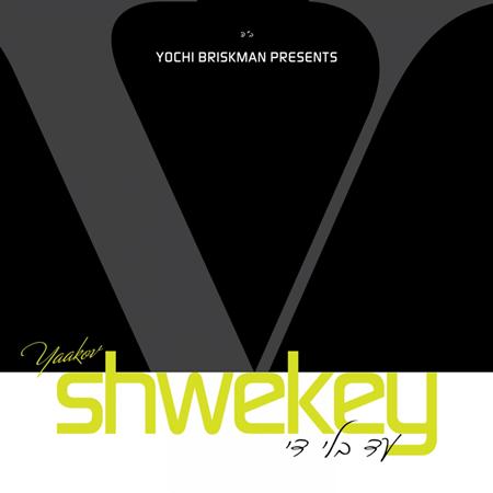 Yaakov Shwekey - Vehi Sheomdo Lyrics - Zortam Music