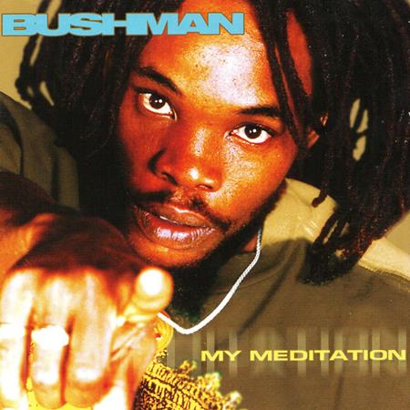 Bushman - My Meditation - Zortam Music