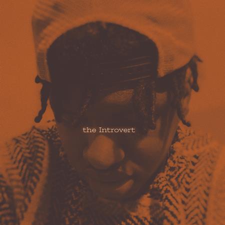 .;8O !028G520 - The Introvert - Zortam Music