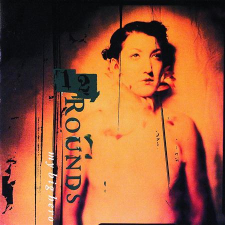 12 Rounds - Sunshine Lyrics - Zortam Music