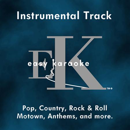Easy Karaoke Players - Easy Instrumental Hits, Vol. 39 - Zortam Music