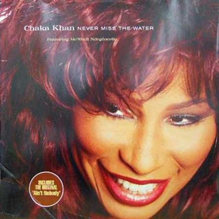 Chaka Khan - Never Miss the Water - Zortam Music