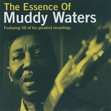 Muddy Waters - SHE