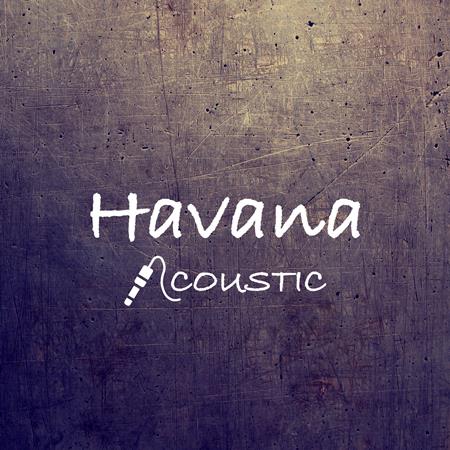 Matt Johnson - Havana (Acoustic) - Zortam Music