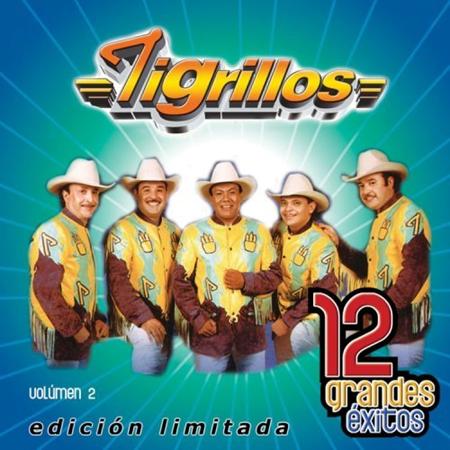 Tigrillos - 12 Grandes exitos Vol. 2 - Zortam Music