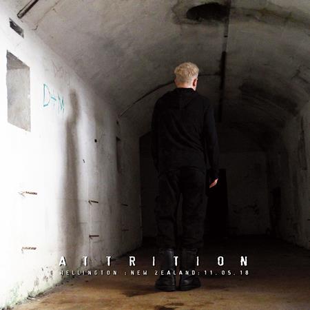 Incubus - Attrition - Live In Wellington, New Zealand 11/05/2018 - Zortam Music