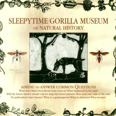 Sleepytime Gorilla Museum - Babydoctor Lyrics - Zortam Music