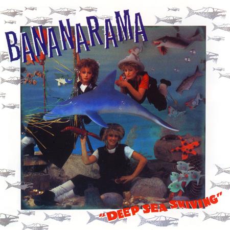 Bananarama - Shy Boy (Donâ€™t It Make You Feel Good) Lyrics - Zortam Music