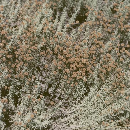 loving - If I Am Only My Thoughts - Zortam Music