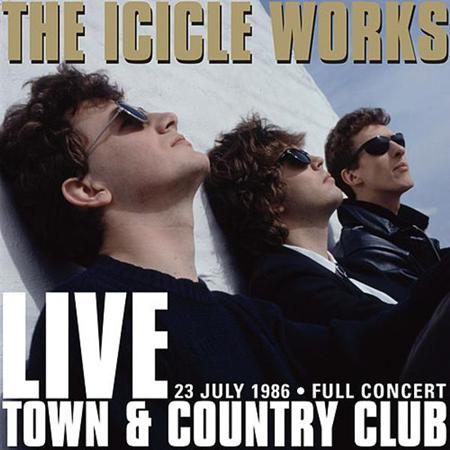 ICICLE WORKS - 5 Albums - Zortam Music