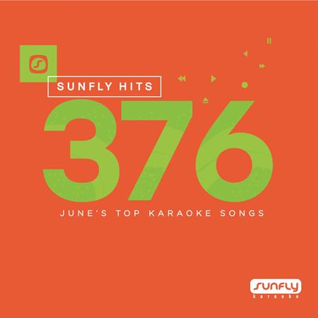 SUNFLY KARAOKE - Sunfly Hits, Vol. 376 - Zortam Music