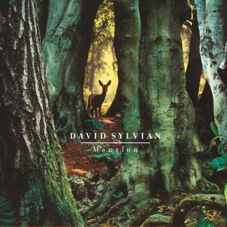 David Sylvian - 125 Spheres Lyrics - Zortam Music