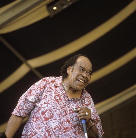 James Cotton - Rare Chicago Blues - Zortam Music