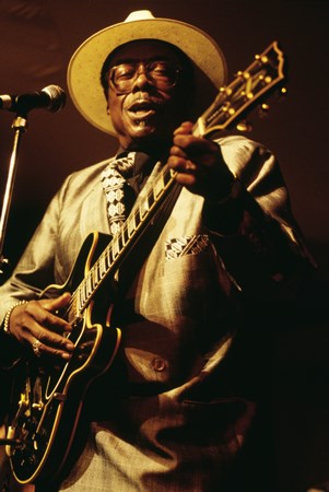 Jimmy Rogers - Deep Blue 25 Years Of Blues On Rounder Records - Zortam Music