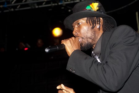 Shabba Ranks - Reggae Party Mega Mix - Zortam Music