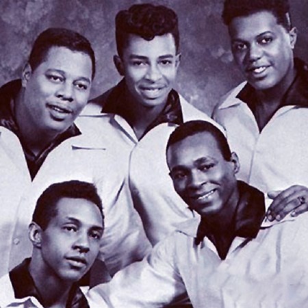 The Contours - Dreamboats And Petticoats - At The Hop! - Zortam Music