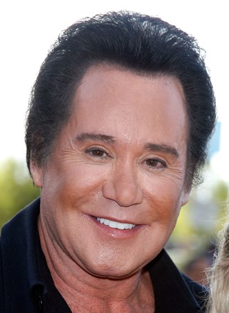 Wayne Newton - Everybody Loves Somebody Sometime Lyrics - Zortam Music