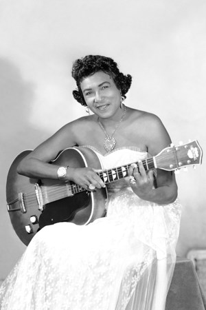 Memphis Minnie - Blowing The Blues - A History Of Blues Harmonica 1926-2002 [disc 1] - Zortam Music