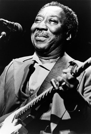 Muddy Waters - Muddy Waters - Walkin