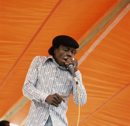 Junior Wells - Chicago Blues - Golden Era - Zortam Music