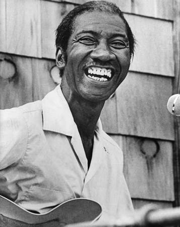 Hound Dog Taylor - The Alligator Records 20th Anniversary Collection (Disc 1) - Zortam Music